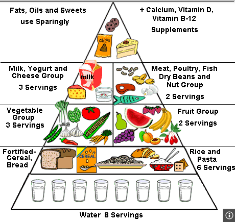 difference between myplate and food pyramid